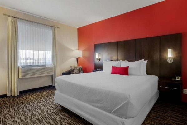 C Hotel By Carmen's, BW Premier Collection image 15